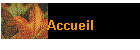 Accueil